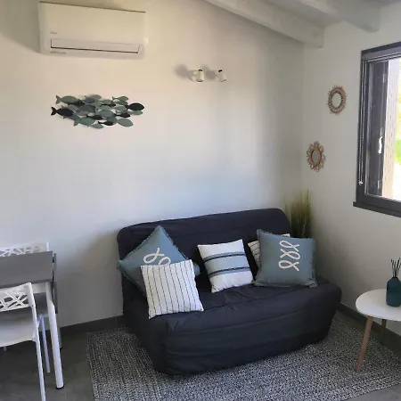 Tres Joli T2 Climatise & Grande Terrasse A 1km De La